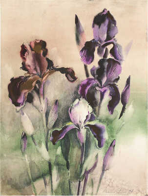 Матвеева Надежда Васильевна. Ирисы